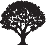 Quercus ilicifolia